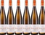 Titelvorschlag: Bacchus Bus auf Tour: Analyse und Vergleich der besten Biere und Spirituosen Titelvorschlag: Bacchus Bus auf Tour: Analyse und Vergleich der besten Biere und Spirituosen